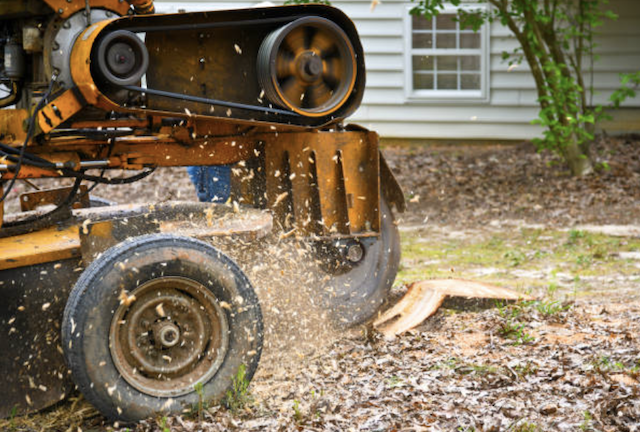 stump grinding miami dade fl